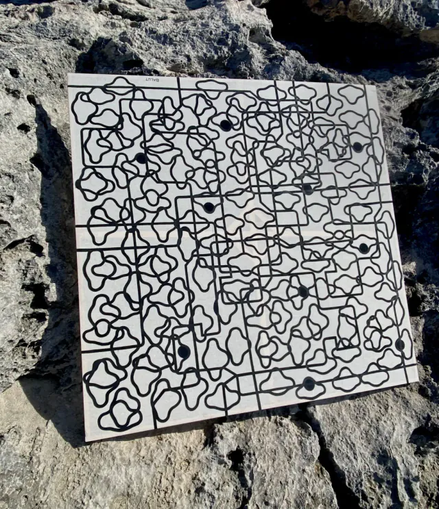 OBRA 030