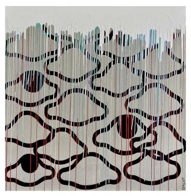OBRA 079