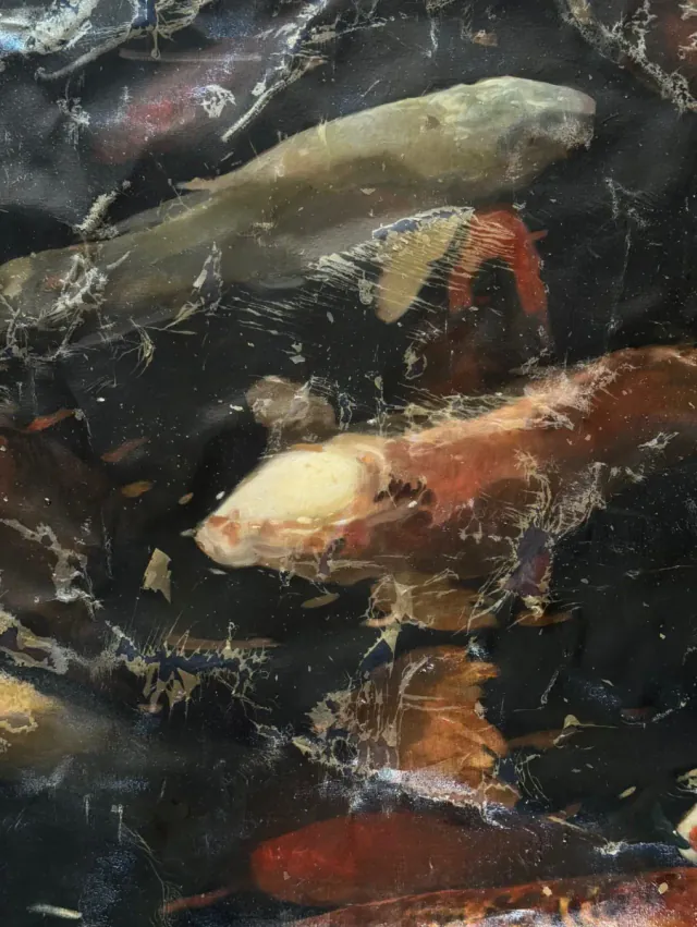 OTRAS OBRAS — BALUT